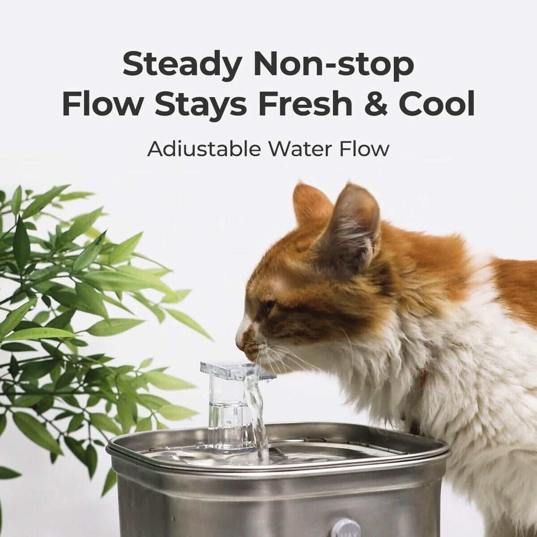 Cat Water Fountain Stainless Steel 74Oz/2.2L Cat Fountain for Pets Dogs Cat